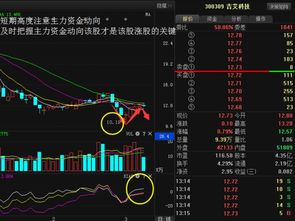 吉艾科技300309主力蠢蠢欲動(dòng),反轉(zhuǎn) 還是二次探底