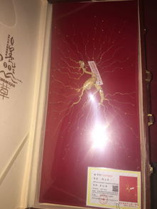我這邊有支中國 吉林通化人參產品開發中心的野山參,編號 y2070620,懂行的幫我看一下值多少錢