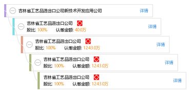 吉林省工藝品進出口公司新技術開發應用公司
