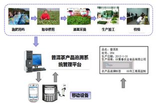 茶葉流通追溯系統 塑造品牌價值