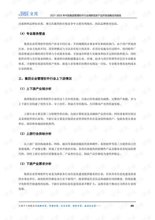 2021 2025年中國集團管理軟件行業調研及新產品開發戰略咨詢報告.pdf