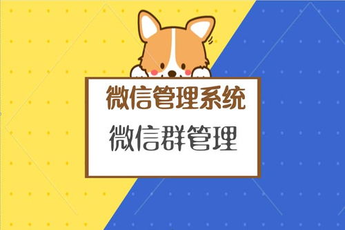 吉林省企業內部微信群管理軟件軟件哪家好
