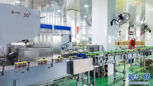 聚焦高質量發展 福建晉江 5g 工業互聯網 助食品產業 智慧 升級
